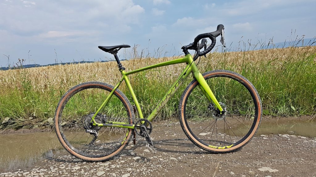 ZIELONO MI – WHYTE GISBURN 2020