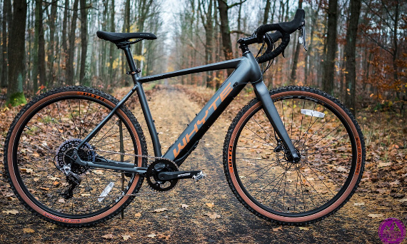 TEST: WHYTE GOSFORD 2020, THE ELECTRIC GRAVEL (MAMBAONBIKE.PL)